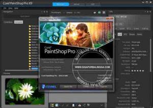 Corel Paint Shop Pro 2021 Ultimate Tutorial 的图像结果