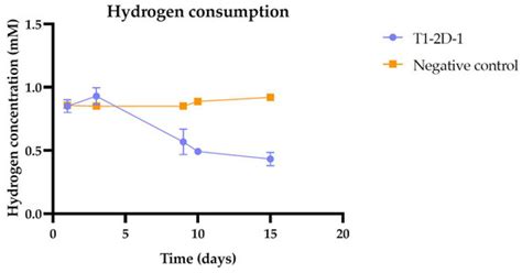 Dark Fermentation in the Dark Biosphere: The Case of Citrobacter sp. T1 ...