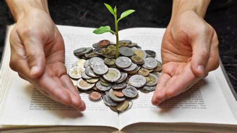 Microfinance emerging as transformative force in North India, says ...