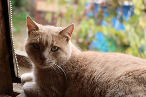 Only Fans Content Photos, Download The BEST Free Only Fans Content ...