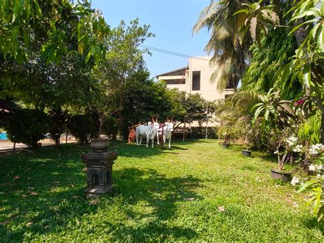 Vrundavan Resorts & Lawns | Nature Retreat in Badlapur