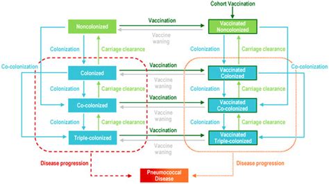 Predicting the Epidemiological Effects in the United Kingdom of Moving ...