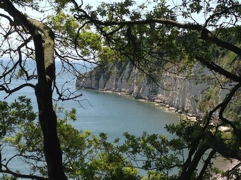 Beautiful Bay View in Beer! - Review of Bay View Guest House, Beer ...