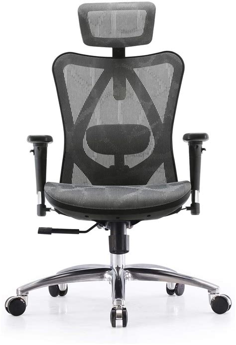 Buy SIHOO M57 Ergonomic Office Chair with 3 Way Armrests Lumbar Support ...