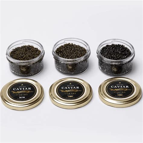Buy OVERNIGHT , Bester’s Luxury Osetra Trio Gift Set, Imported Russian ...