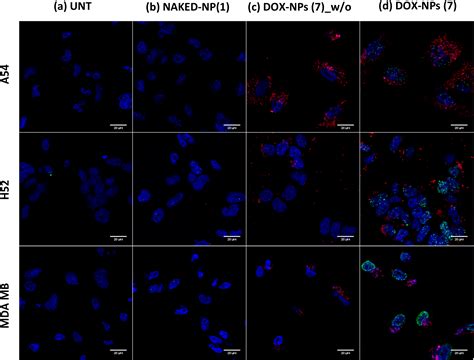 Characterization and Therapeutic Effect of a pH Stimuli Responsive ...