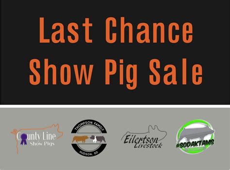 5th Annual Last Chance Show Pig Sale, Turner County Fairgrounds, Sioux ...