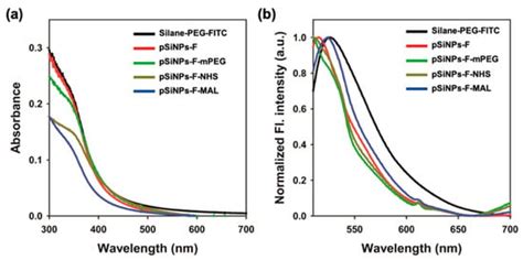 Systematic Degradation Rate Analysis of Surface-Functionalized Porous ...