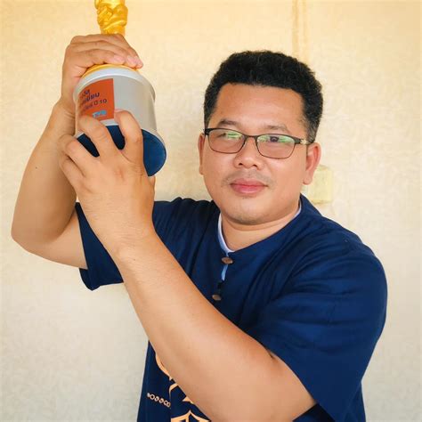 Stem Program 的图像结果