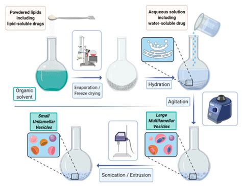 Liposome-Based Bioassays