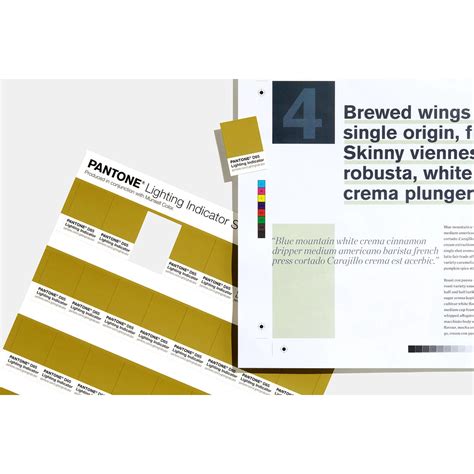 PANTONE LIGHTING INDICATOR STICKERS D65