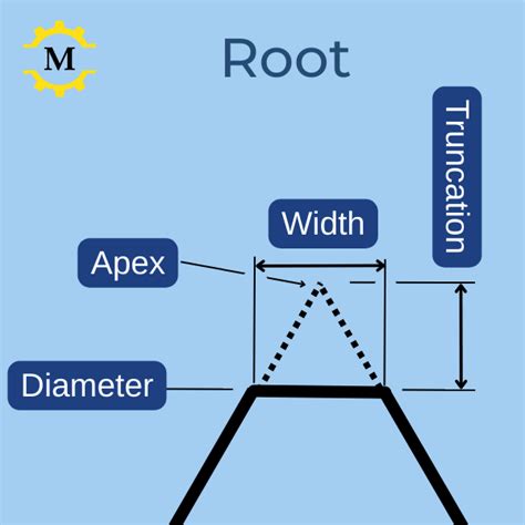 Image result for Thread Root