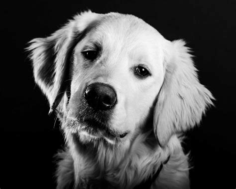 Image result for Python Unit 4