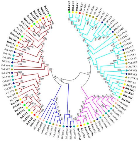 Cells | Special Issue : Omics in Plant Genetics and Breeding