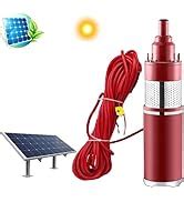 Rips Technology ™ [RIPS RIYA] DC Brush Solar Submersible Water Pump ...