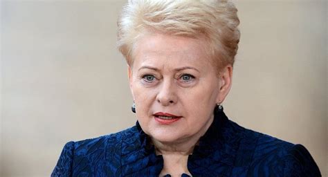 立陶宛总统呼吁在潜艇上安装美国“爱国者”导弹系统 - 俄罗斯卫星通讯社