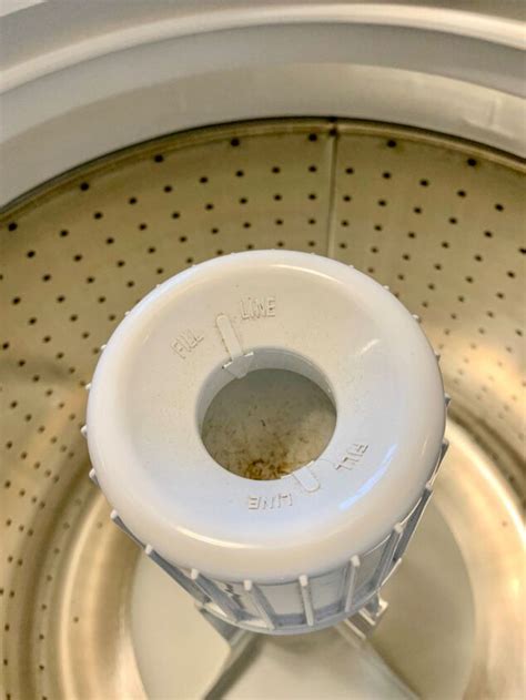 Image result for How to Deep Clean Washing Machine