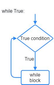 Image result for While True Example