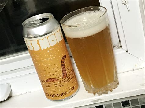 Fat Orange Cat Brew Co.: FOC Less Monster | Beers on Windowsills