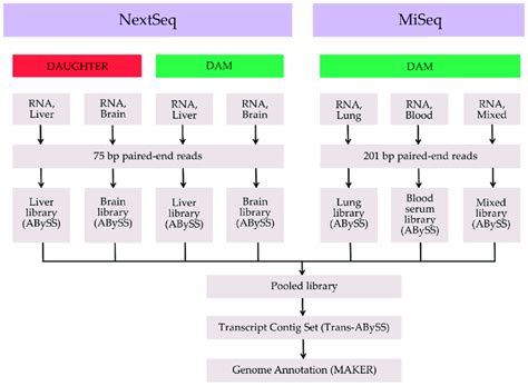 Image result for Transcriptome Assembly