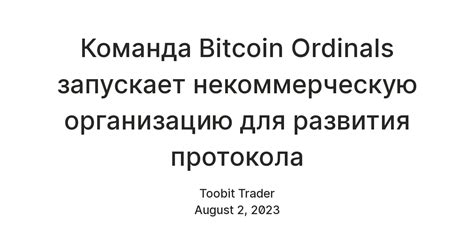 Команда Bitcoin Ordinals запускает некоммерческую организацию для ...