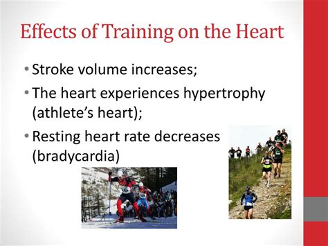 Tutorial of How a Heart Functions 的图像结果
