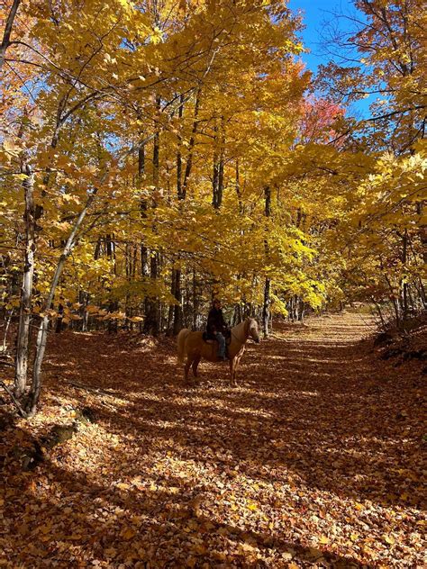 Living Nativity, 119 Snowfield Road, Negaunee, MI, 13 December 2024 ...