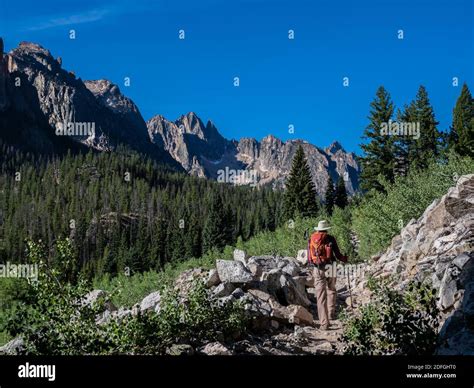 Woman hikes the Redfish Lake Creek Trail, Sawtooth National Recreation ...