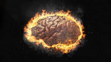 Brain On Fire Disease