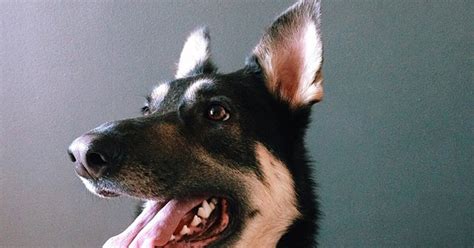 Instagrammer of the Week: Reema Desai