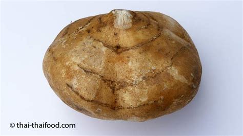 Image result for Yambohne