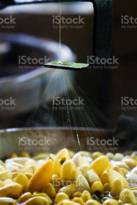 Image result for Silk Processing