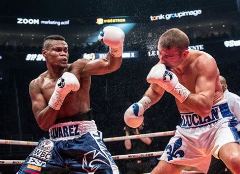 Boxing Concert 的图像结果