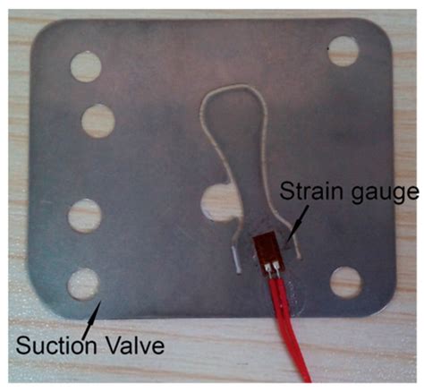 Investigation of the Thermodynamic Process of the Refrigerator ...