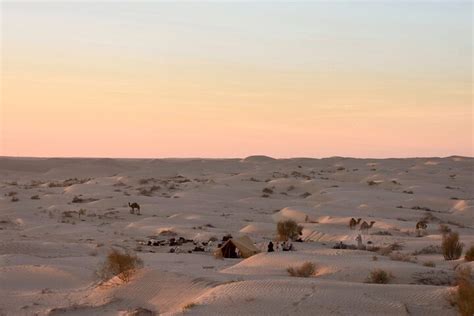 LUMIÈRE SAHARIENNE (2026) All You Need to Know BEFORE You Go (with ...