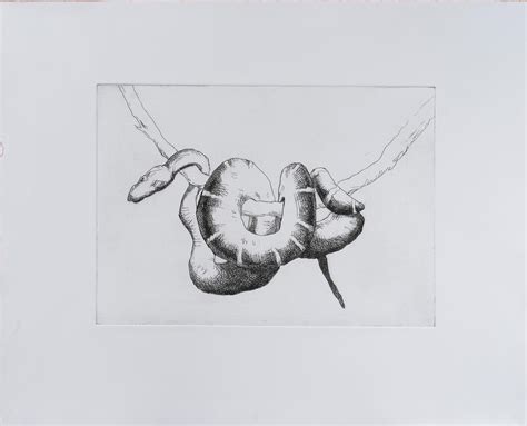 Snake – Phoebe Dickinson