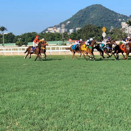 Tour guide in Rio (Rio de Janeiro) - 2022 What to Know Before You Go ...