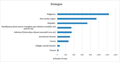 Surgical Management Strategies for Pericardial Effusion—A Systematic Review