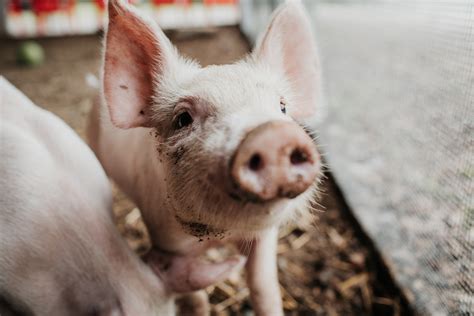 Cori Miller Photography