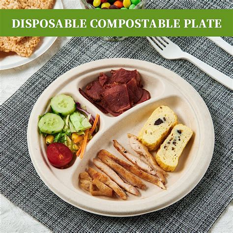 Buy ECOLipak 125Pack Compostable 3-Compartment Plates, 9 inch Heavy ...