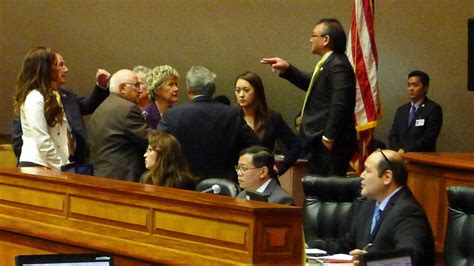 Hawaii's House Republican Leader Says She Was Ousted Over Women's March ...