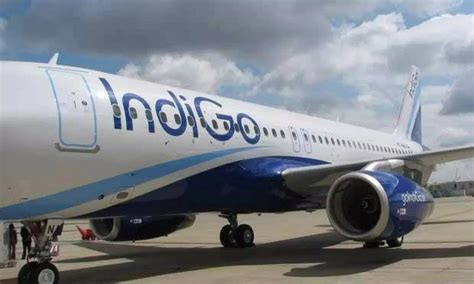 IndiGo pilot faints, dies at boarding gate just before departure