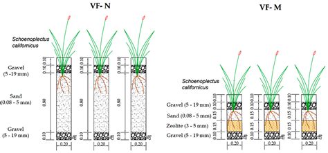 Evaluation of Bed Depth Reduction, Media Change, and Partial Saturation ...