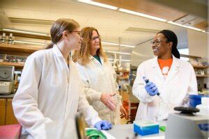 Clemson University - Best Engineering Schools