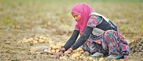 Farmers' rights are a hot potato