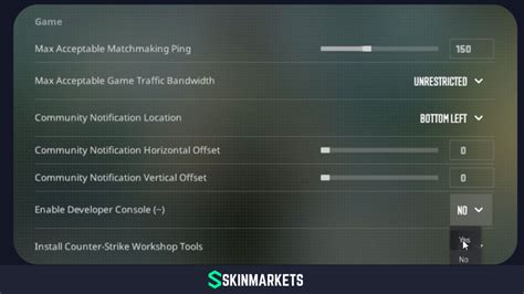 Image result for How to Turn On Developer Console CS GO