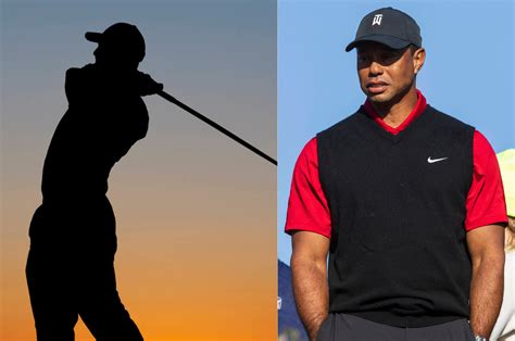 Tiger Woods 的图像结果