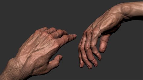 Free 3D Model Free Realistic Hand - TurboSquid 2203856