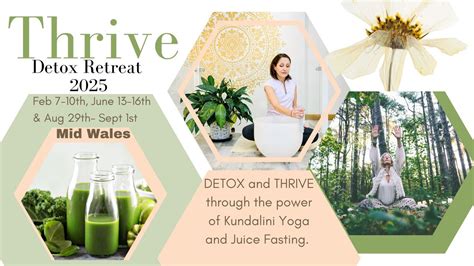 THRIVE - Detox Retreat , Garth Barns, Machynlleth, 29 August to 1 ...