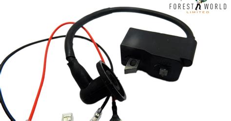 Image result for How to Test Ignition Module Stihl